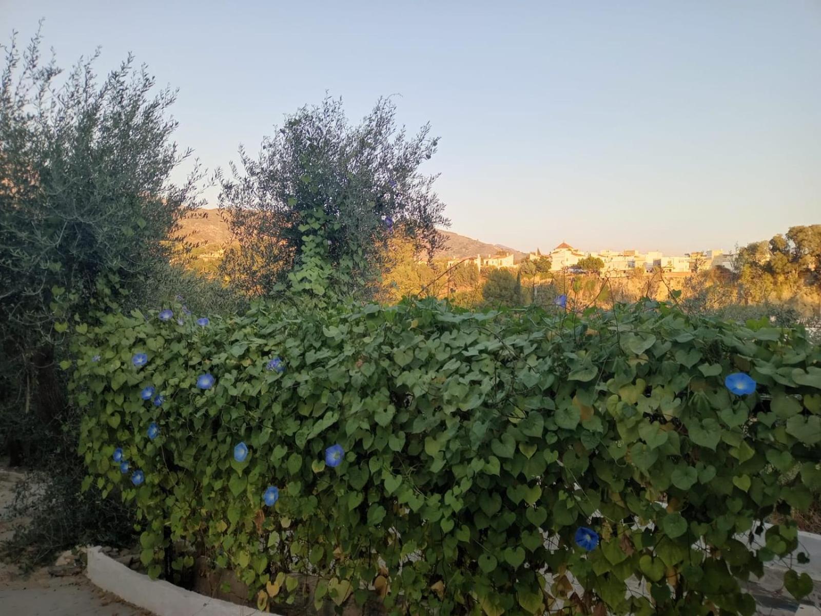 Cortijo Rural Al-andalus Con Piscina Сasa de vacaciones