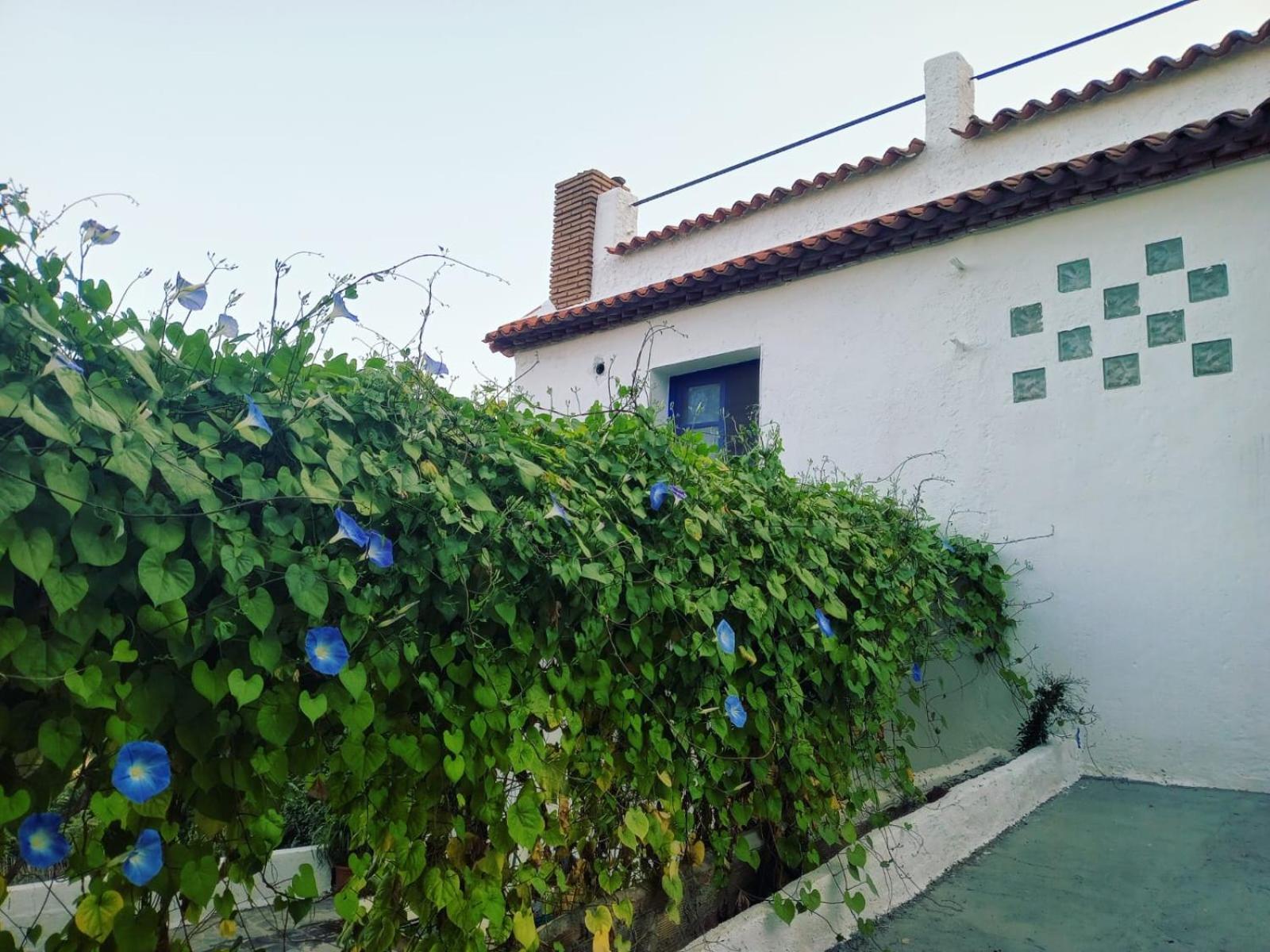 Cortijo Rural Al-andalus Con Piscina * Orgiva