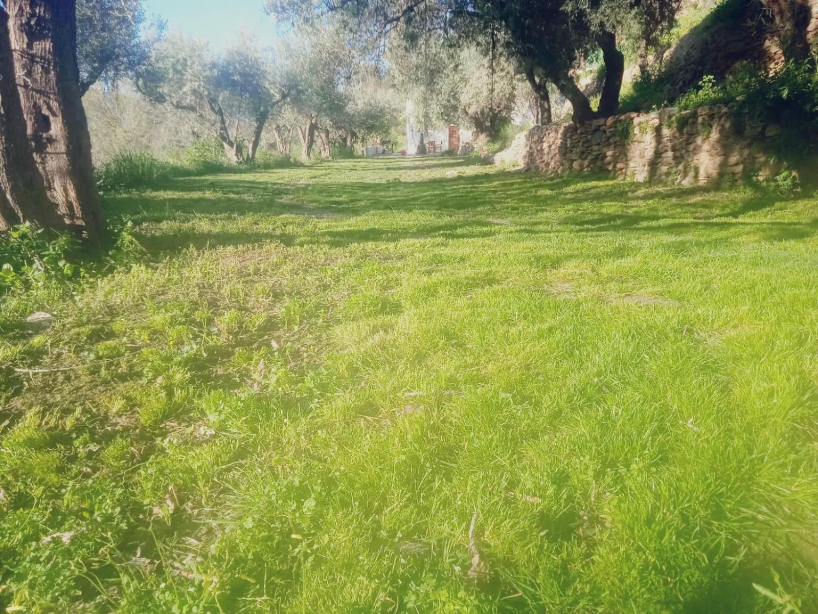 Cortijo Rural Al-andalus Con Piscina * Orgiva