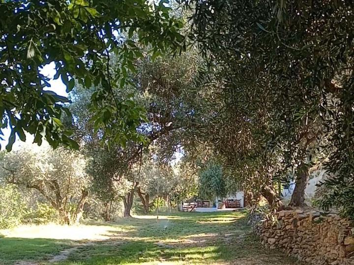 Cortijo Rural Al-andalus Con Piscina Holiday home *